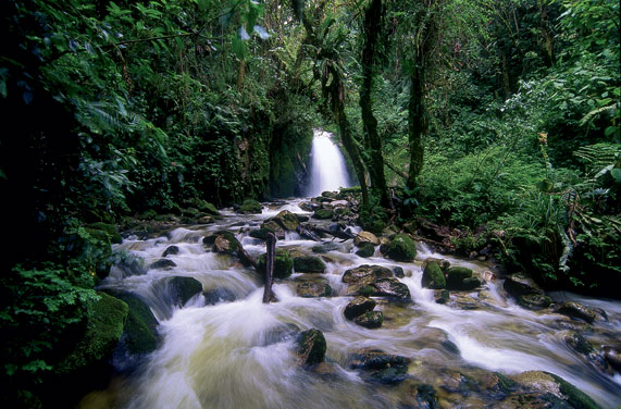 Cataraya De Mandor Waterfall Flowing into the Urubamba River
