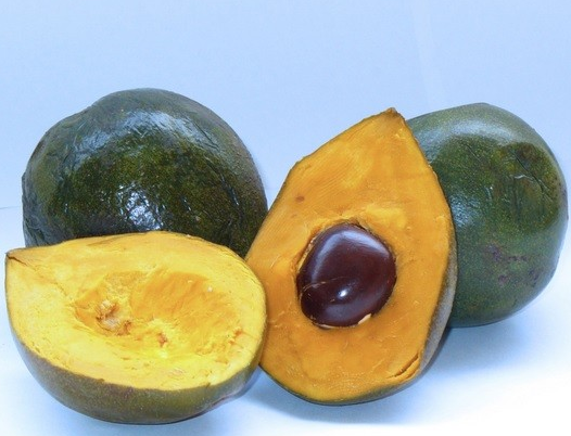 Lucama, via DetoxYourWorld.com