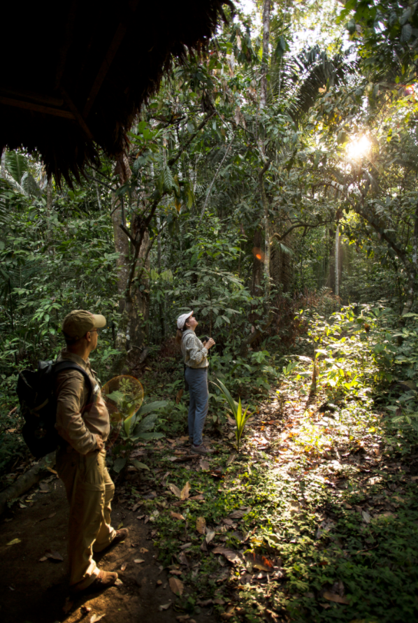 screen-shot-2017-05-10-at-10-14-19