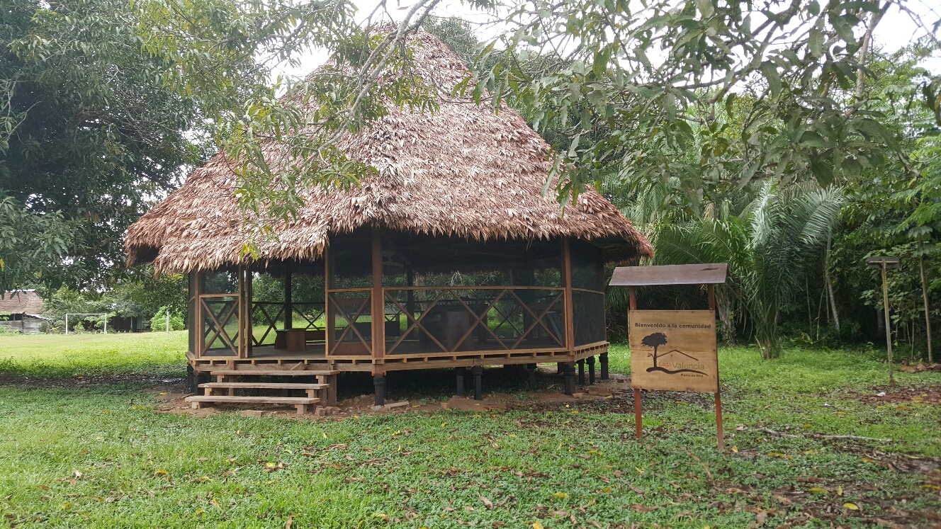 20170531_114023_resized_1