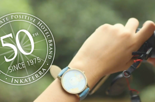 Explore to Understand, Understand to Protect