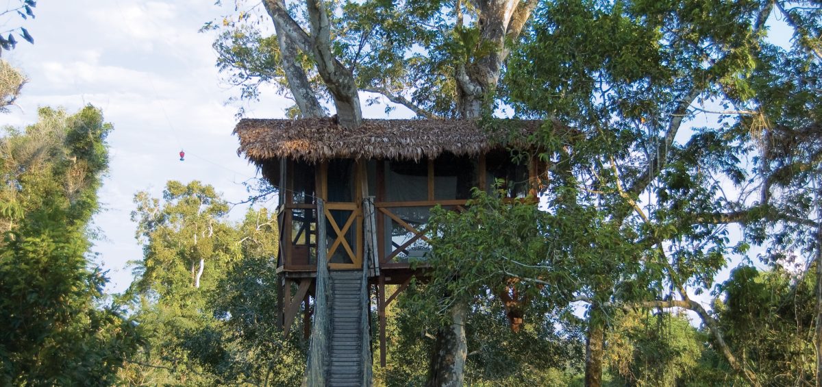 Inkaterra Canopy Tree House
