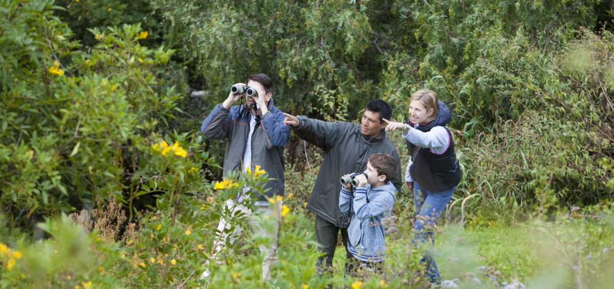 Inkaterra Hacienda Urubamba - Birds