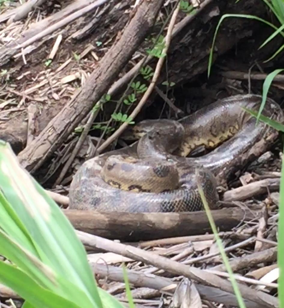 Inkaterra Reserva Amazónica