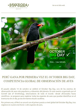 Newsletter - Octubre