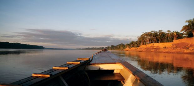 images are referential