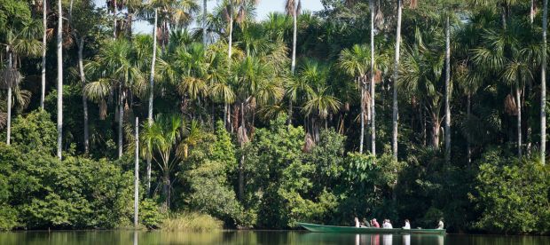 images are referential