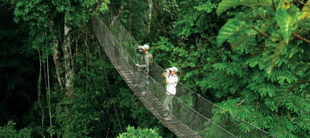 images are referential