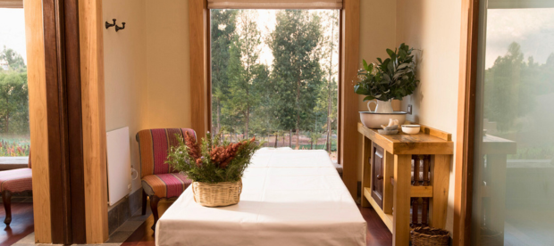 images are referential