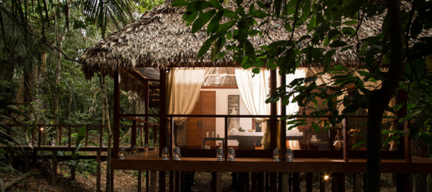 images are referential