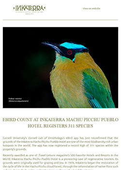 Newsletter - January