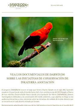 Newsletter - Febrero