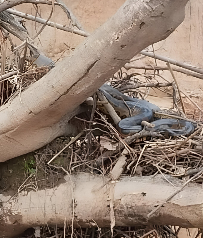 Inkaterra Hacienda Concepción