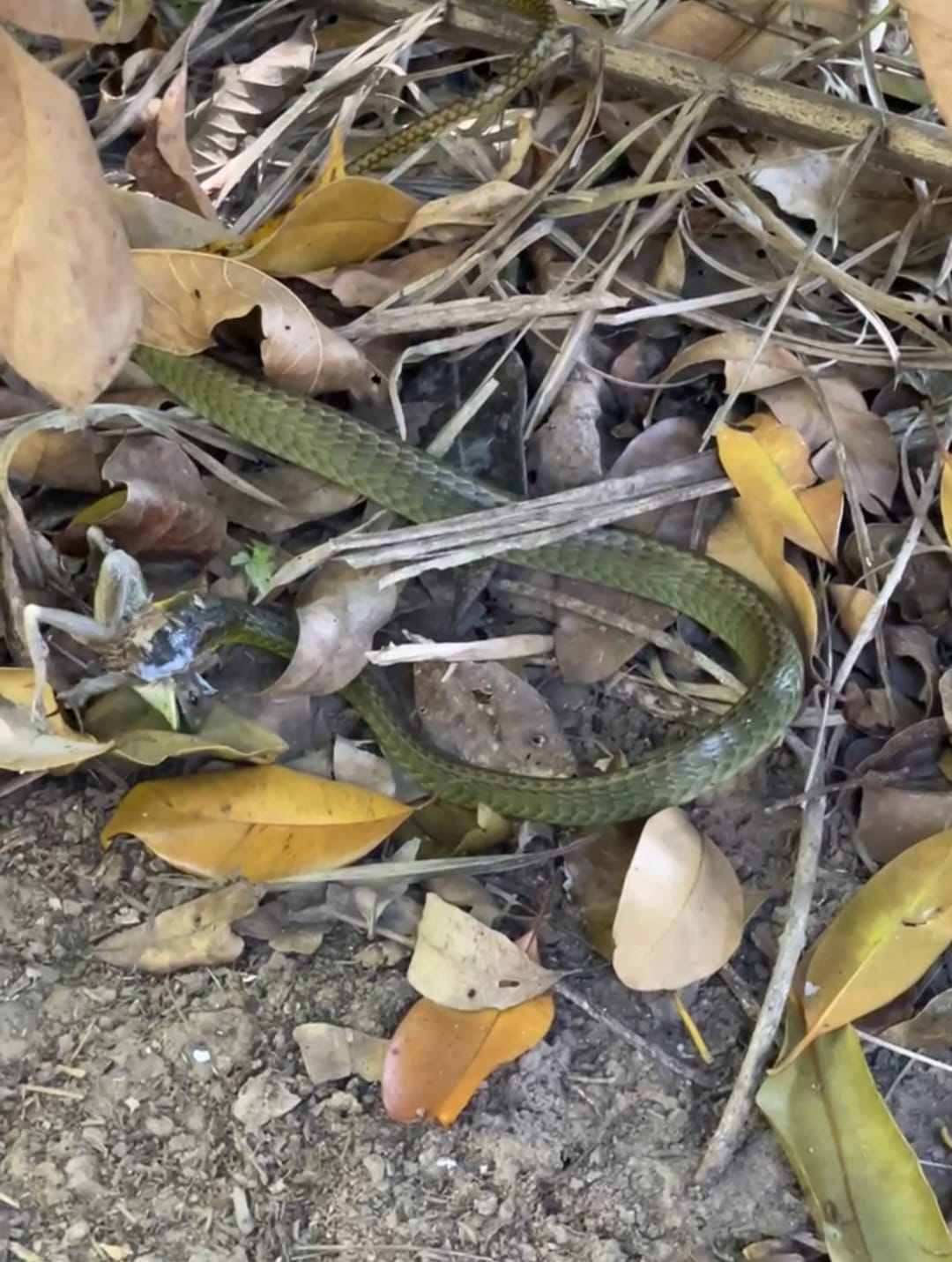 Inkaterra Hacienda Concepción